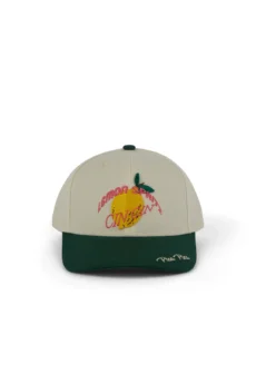 PP3160 1 - Dash Fashion