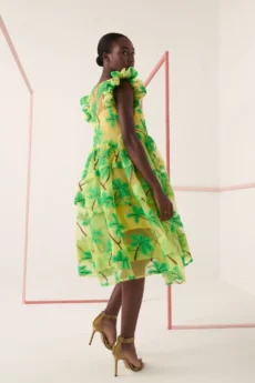 bassa dress 472039.jpg - Dash Fashion