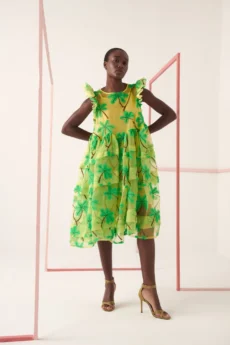 bassa dress 934565.jpg - Dash Fashion